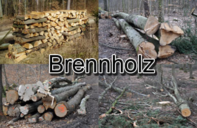 Brennholz