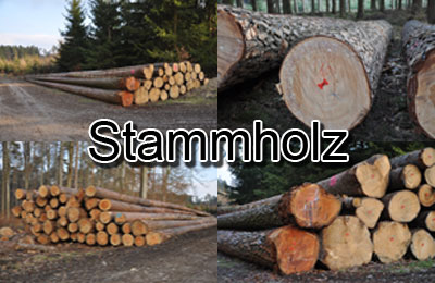 Stammholz